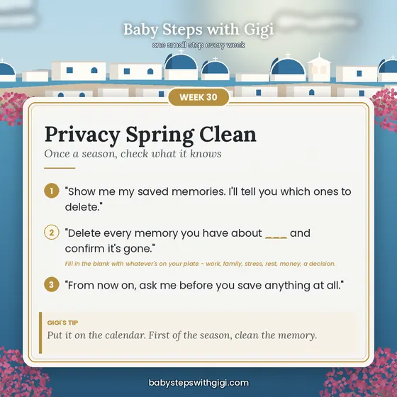 Week 30 prompt card: Privacy Spring Clean
